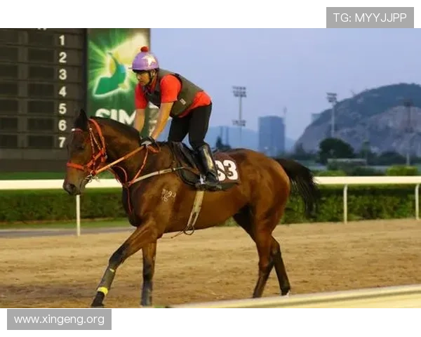 全面掌握澳门赛马会赛事资讯，助你精准把握赛马比赛的最新动态